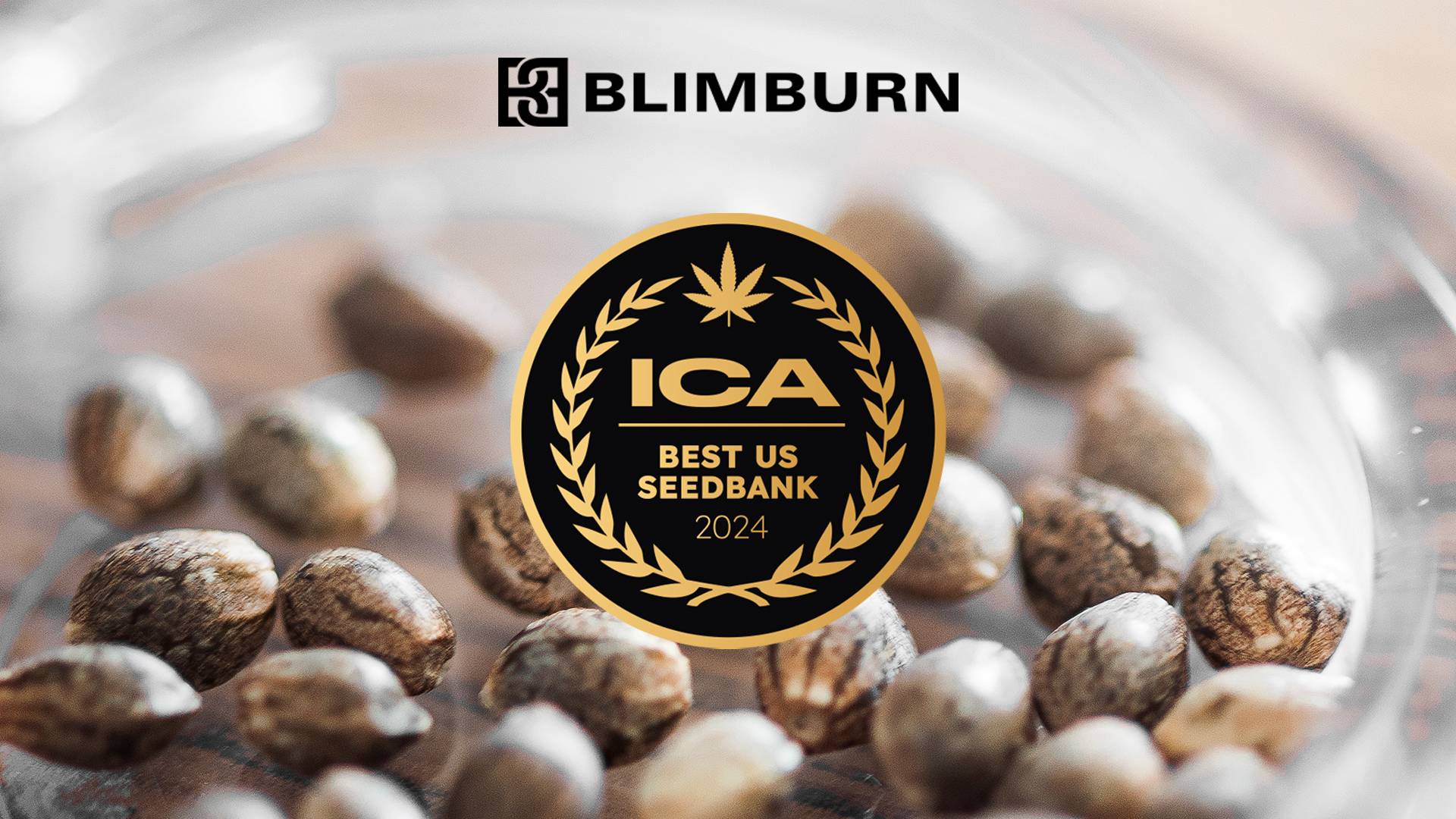 blimburn seeds strains